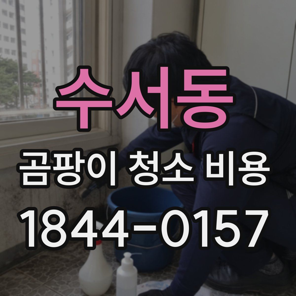 수서동 곰팡이 청소 비용