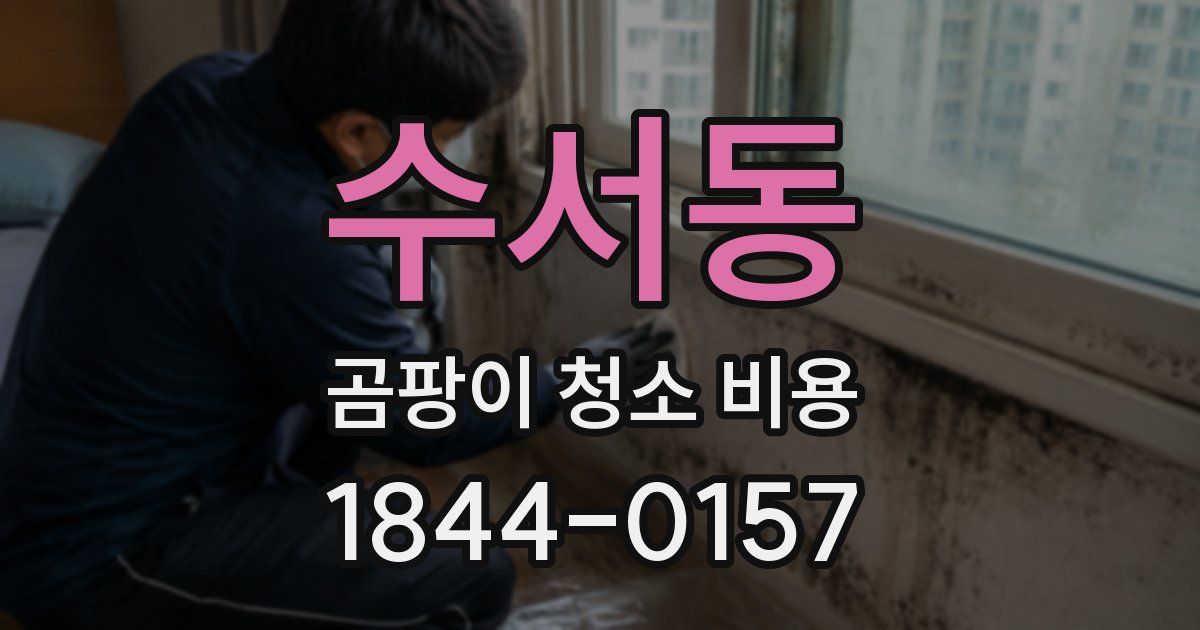 수서동 곰팡이 청소 비용