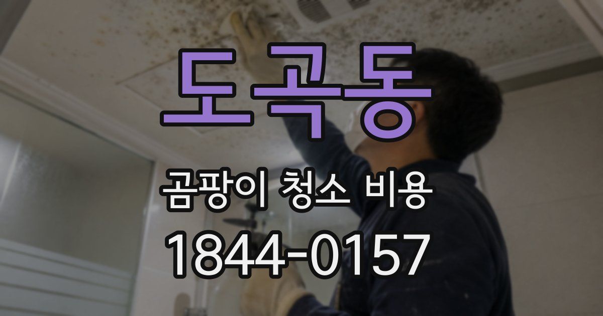 도곡동 곰팡이 청소 비용