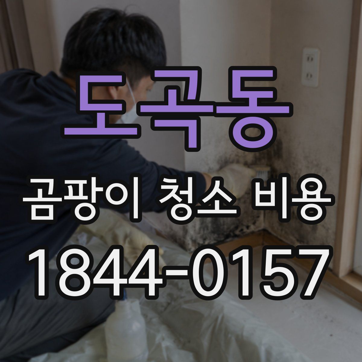 도곡동 곰팡이 청소 비용