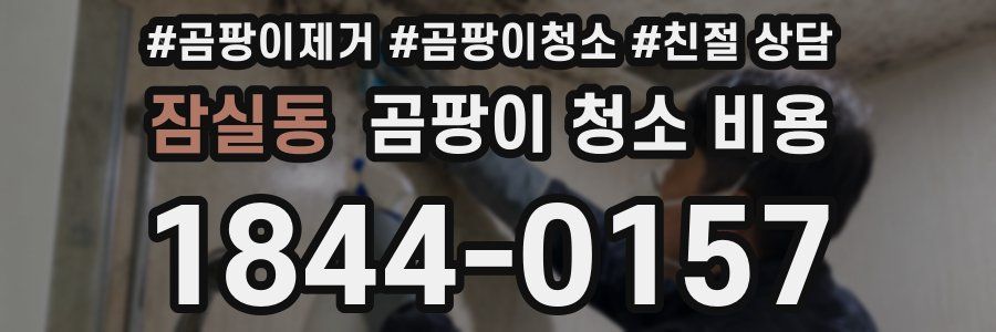 잠실동 곰팡이 청소 비용