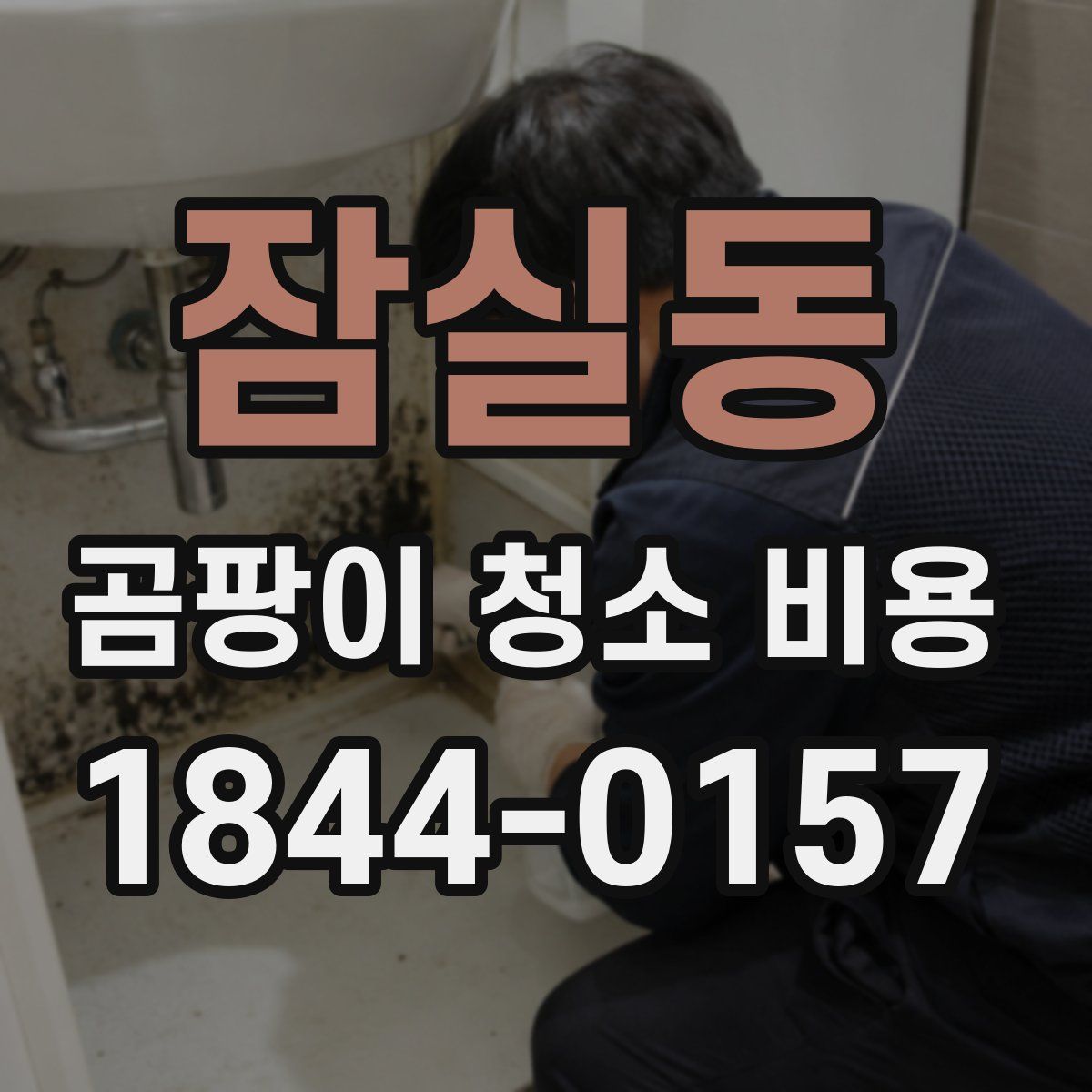 잠실동 곰팡이 청소 비용