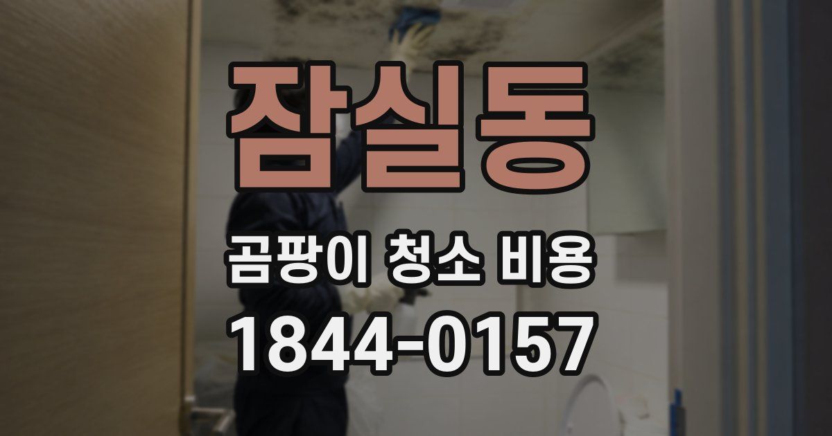 잠실동 곰팡이 청소 비용
