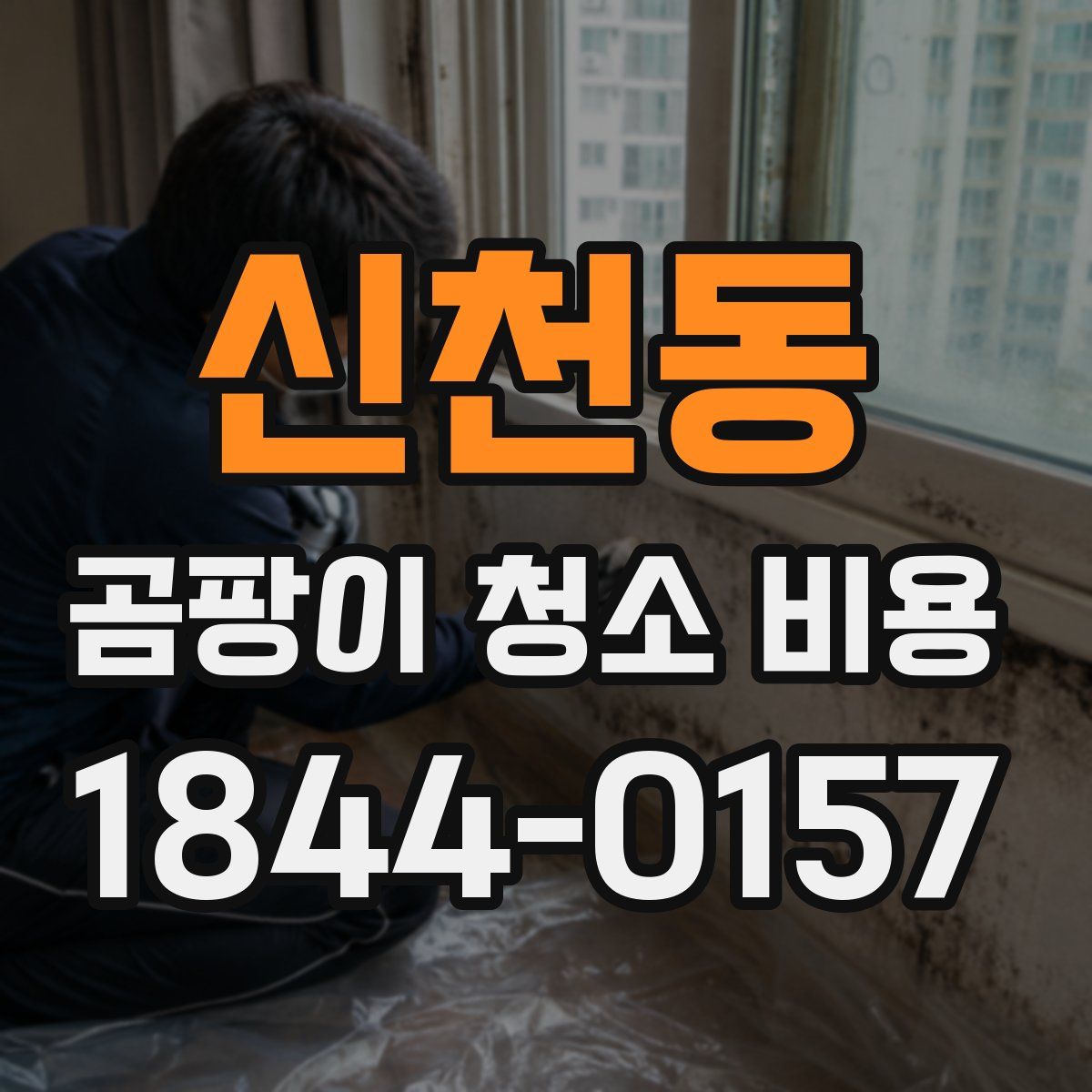 신천동 곰팡이 청소 비용