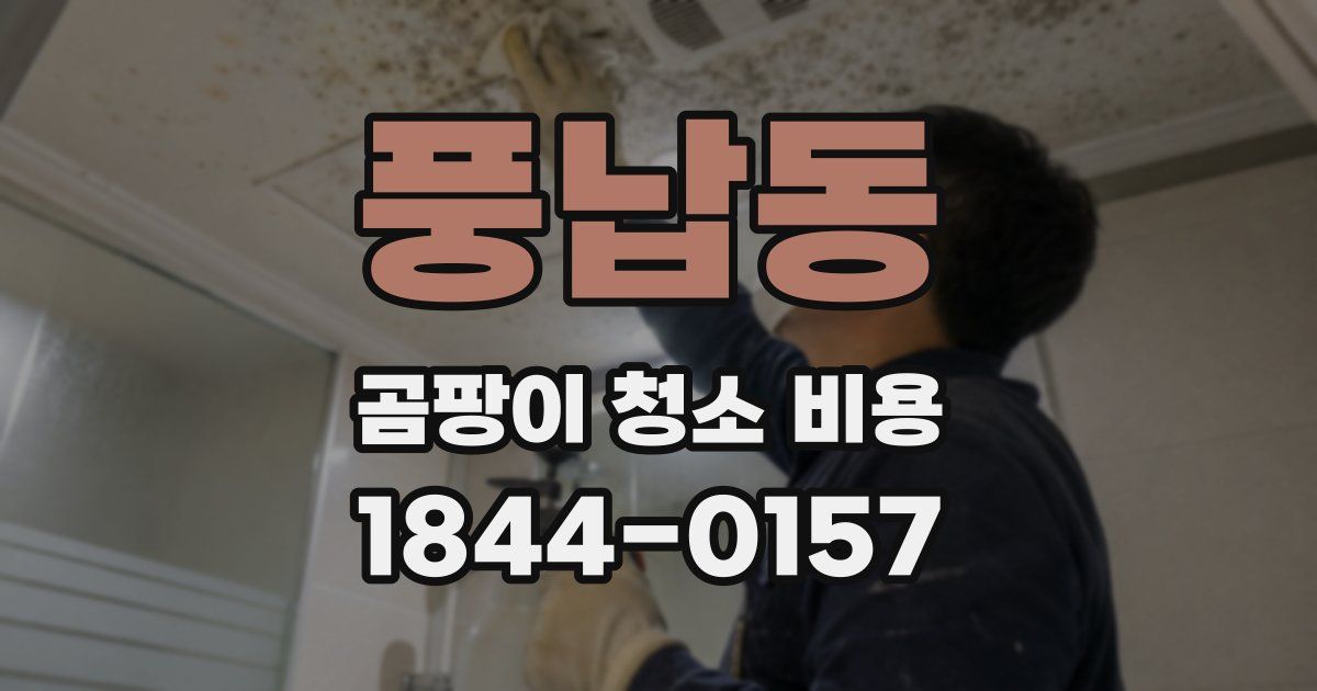 풍납동 곰팡이 청소 비용