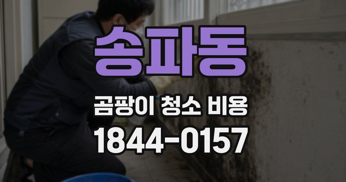 송파동 곰팡이 청소 비용
