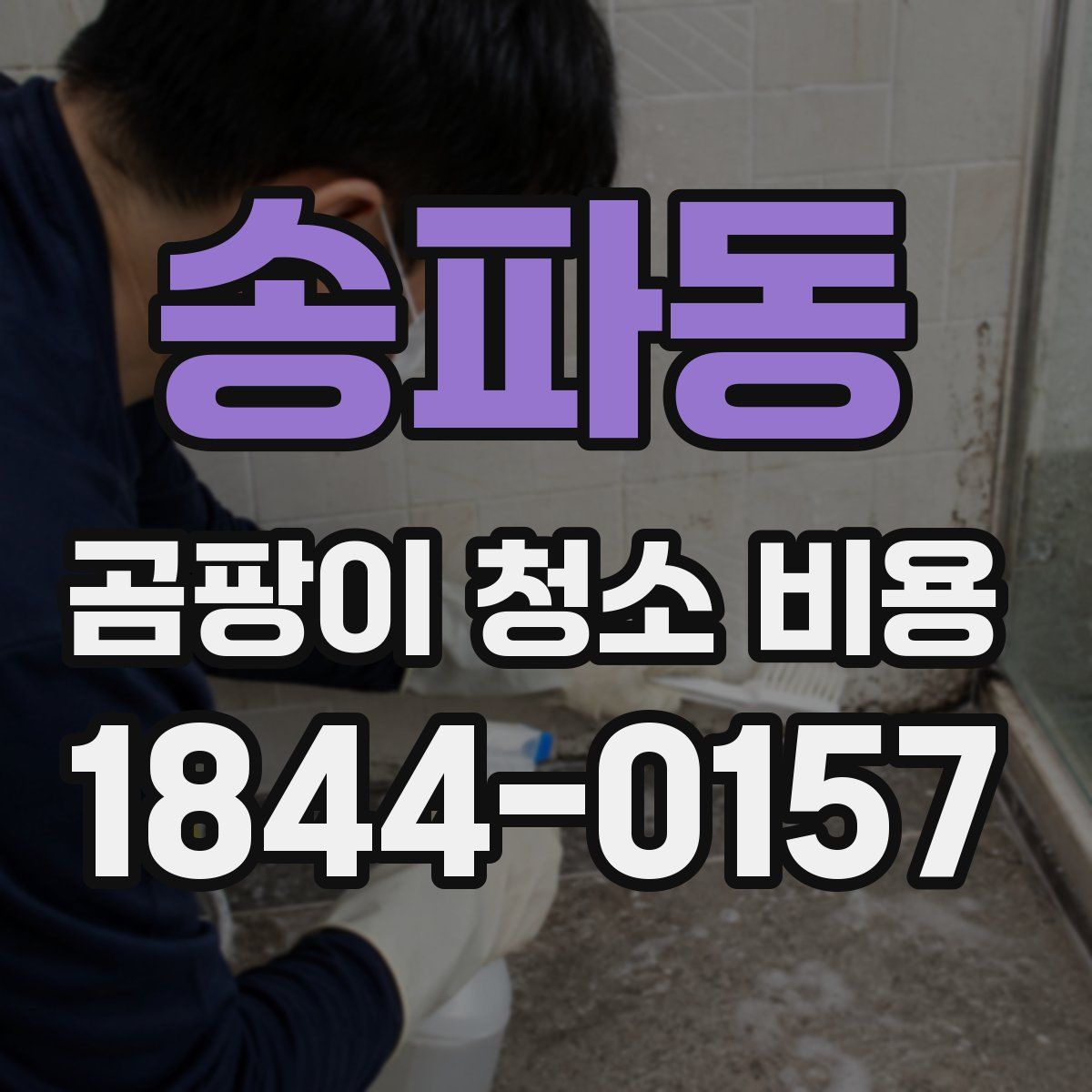 송파동 곰팡이 청소 비용