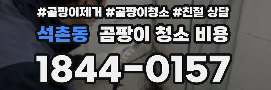 석촌동 곰팡이 청소 비용