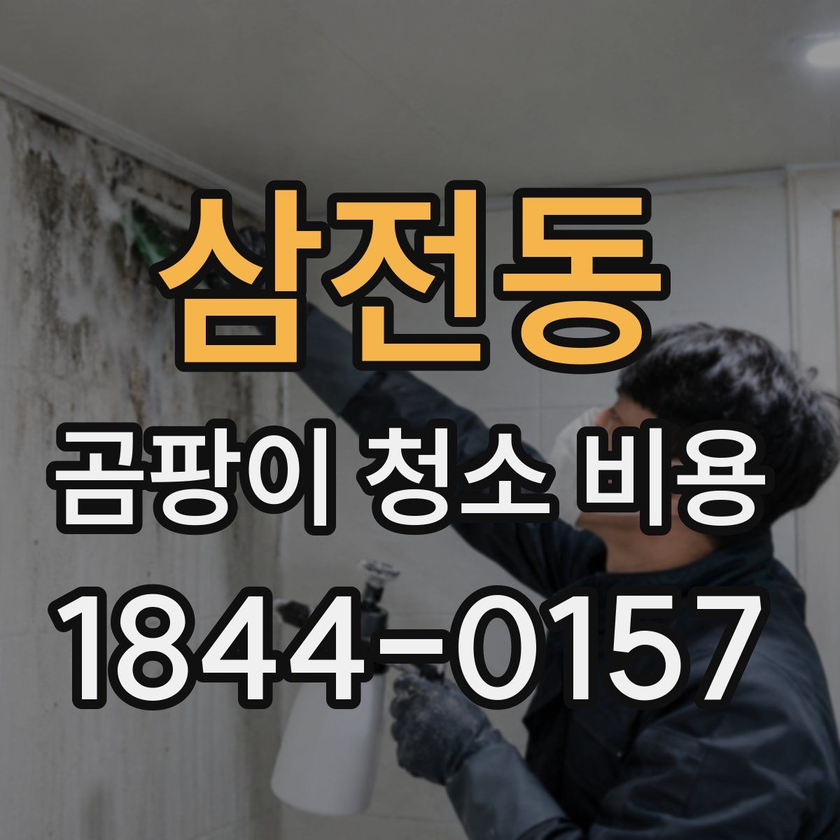 삼전동 곰팡이 청소 비용