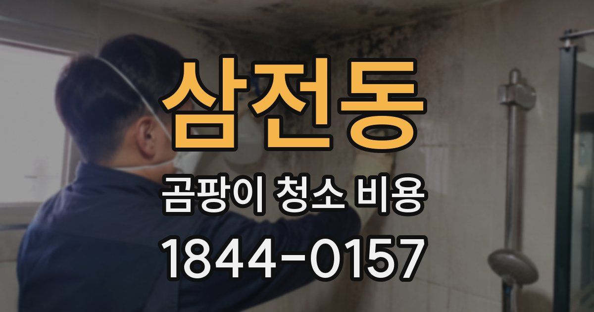 삼전동 곰팡이 청소 비용