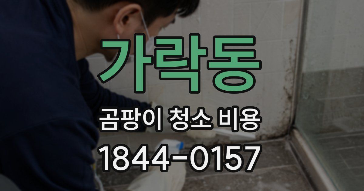 가락동 곰팡이 청소 비용
