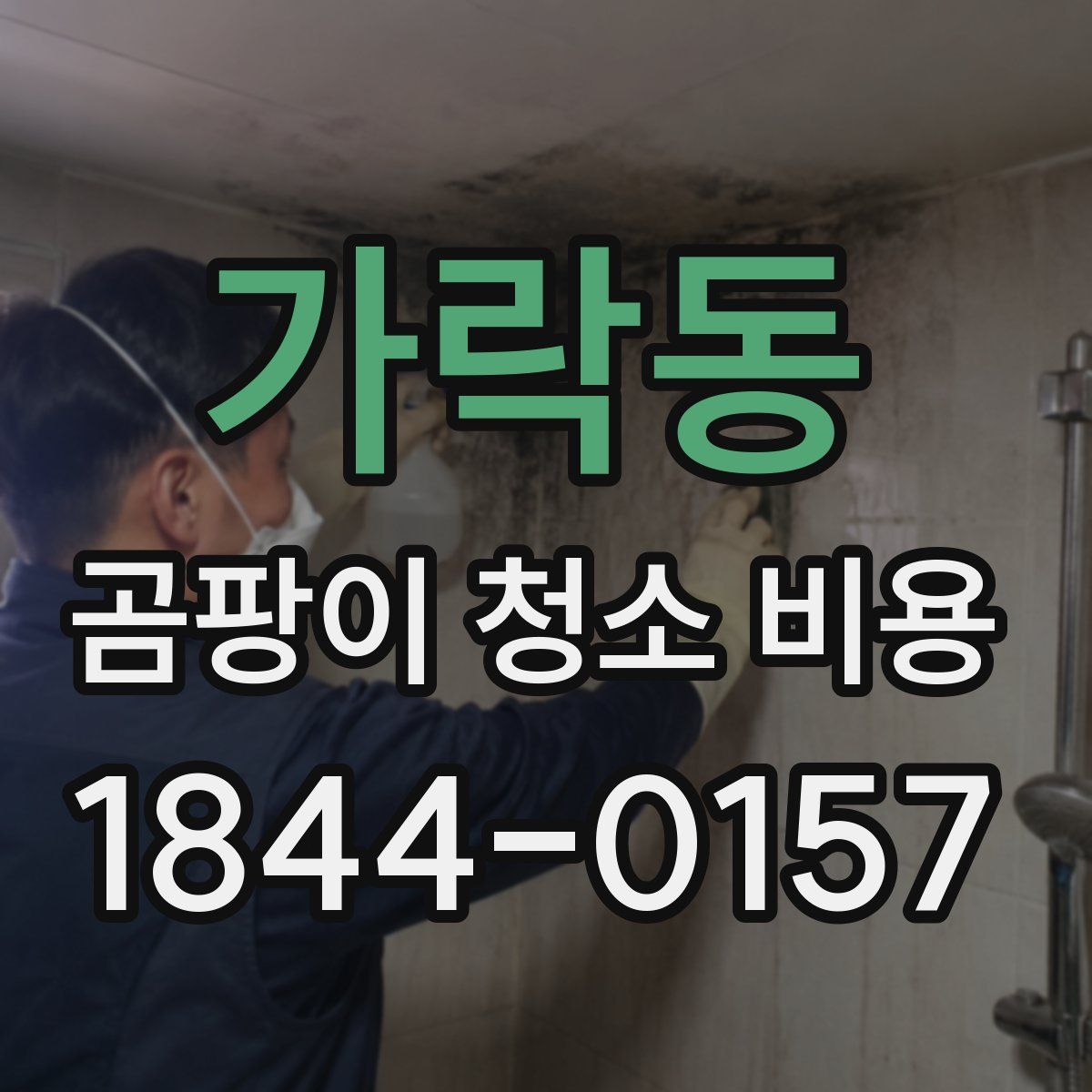 가락동 곰팡이 청소 비용