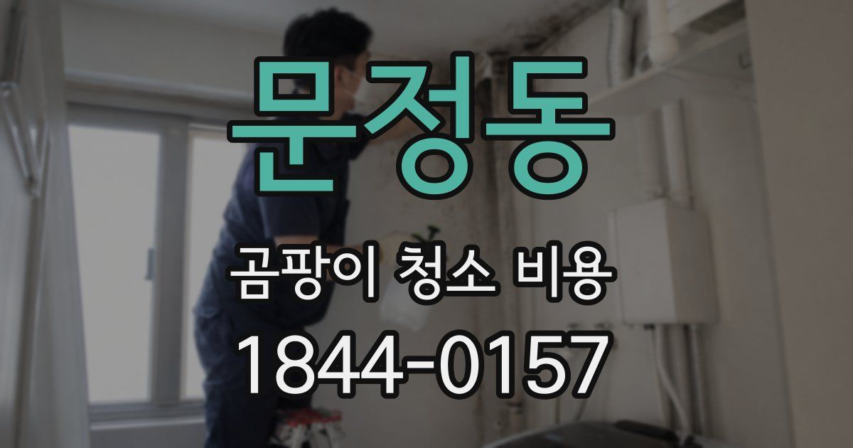 문정동 곰팡이 청소 비용