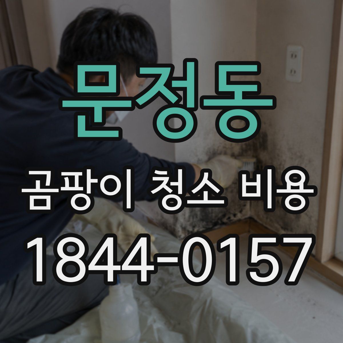 문정동 곰팡이 청소 비용