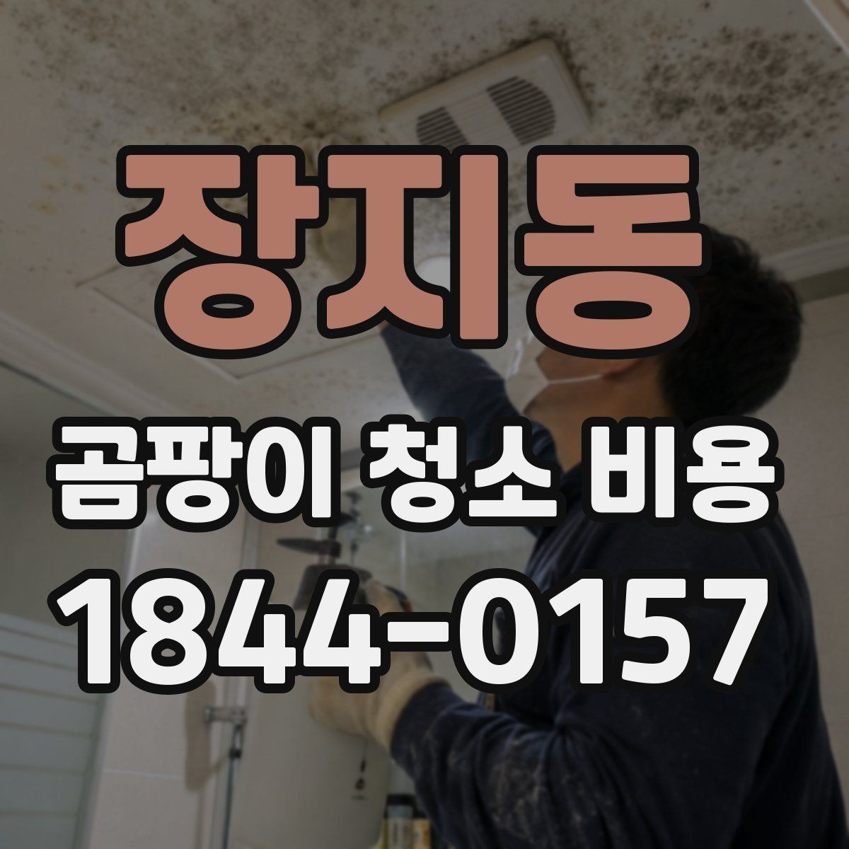 장지동 곰팡이 청소 비용 비교할 때 알아둘 점