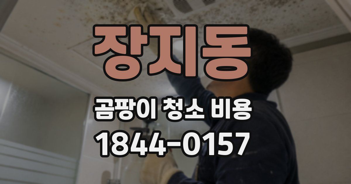장지동 곰팡이 청소 비용