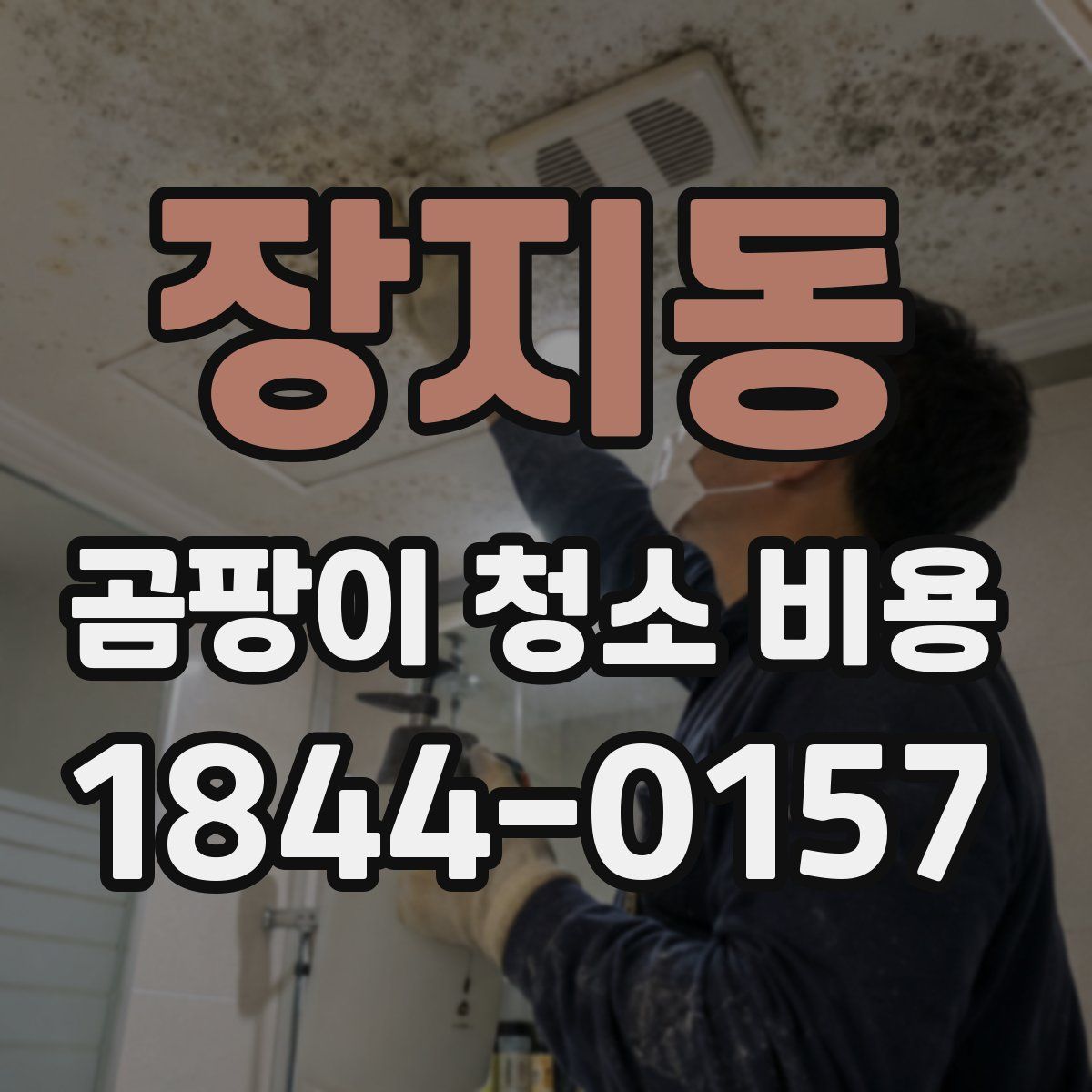 장지동 곰팡이 청소 비용