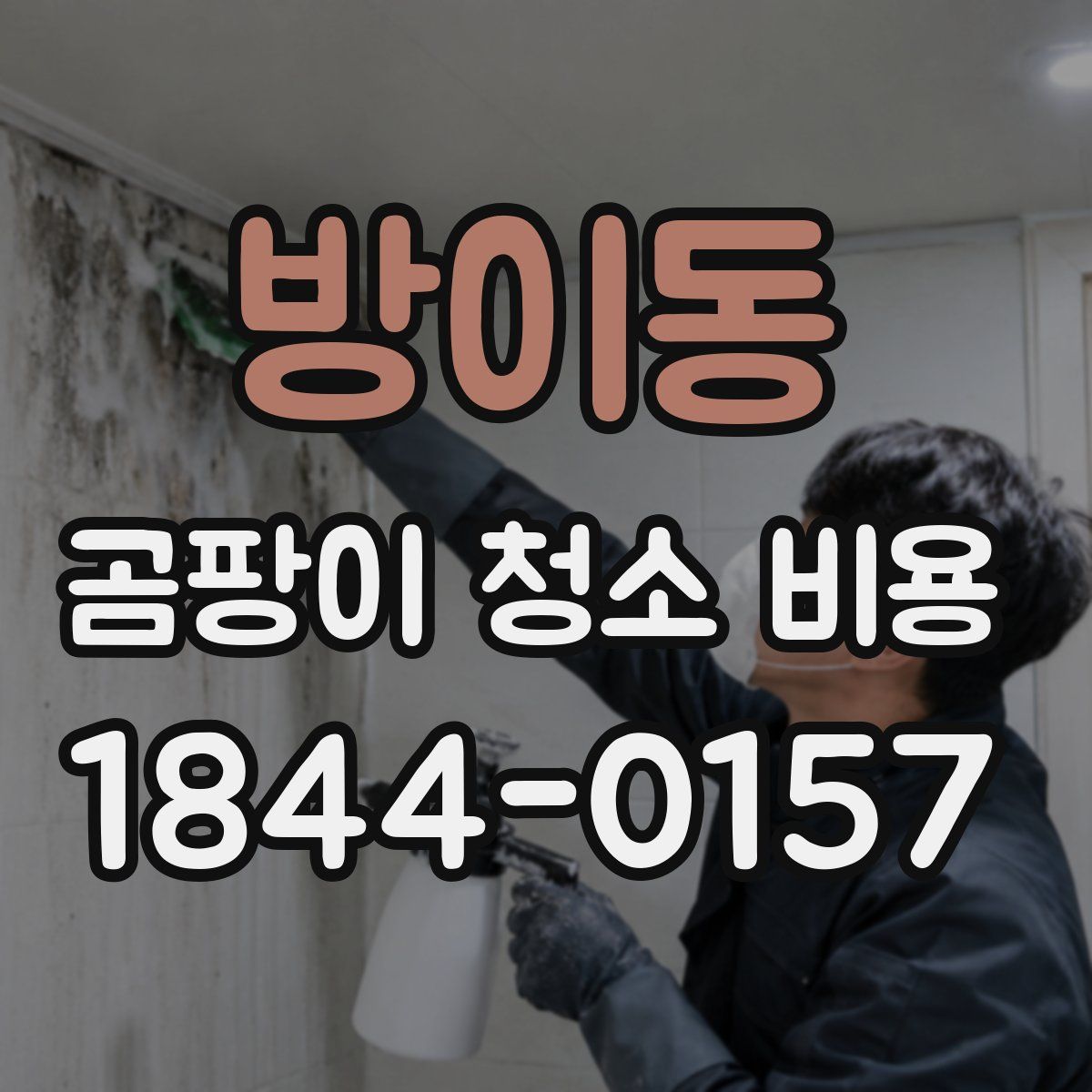 방이동 곰팡이 청소 비용