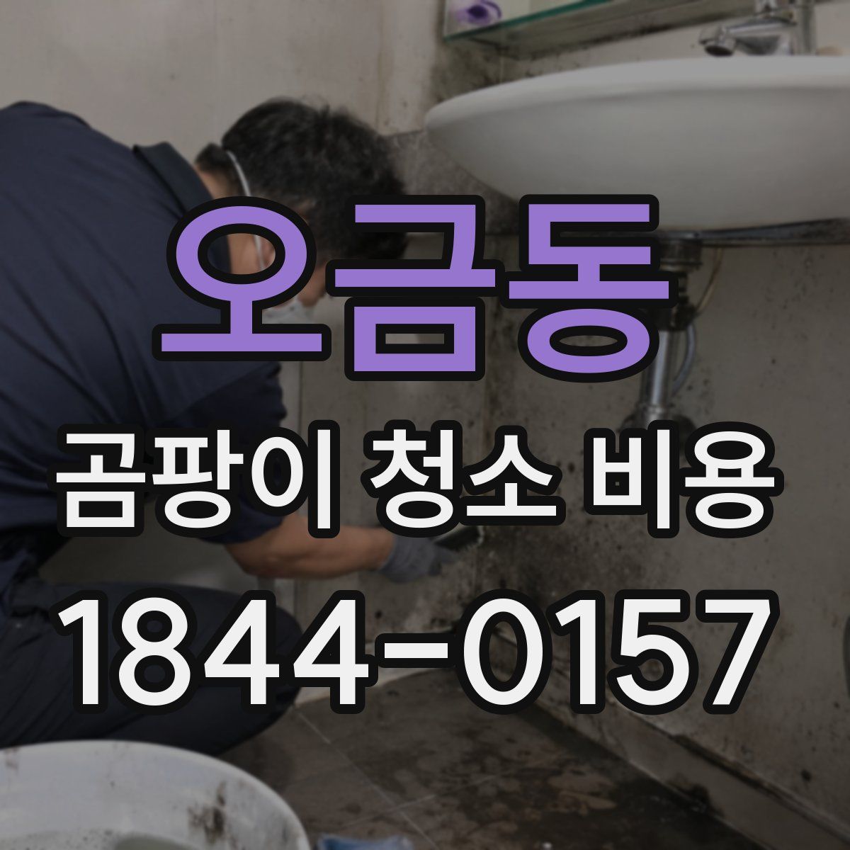 오금동 곰팡이 청소 비용
