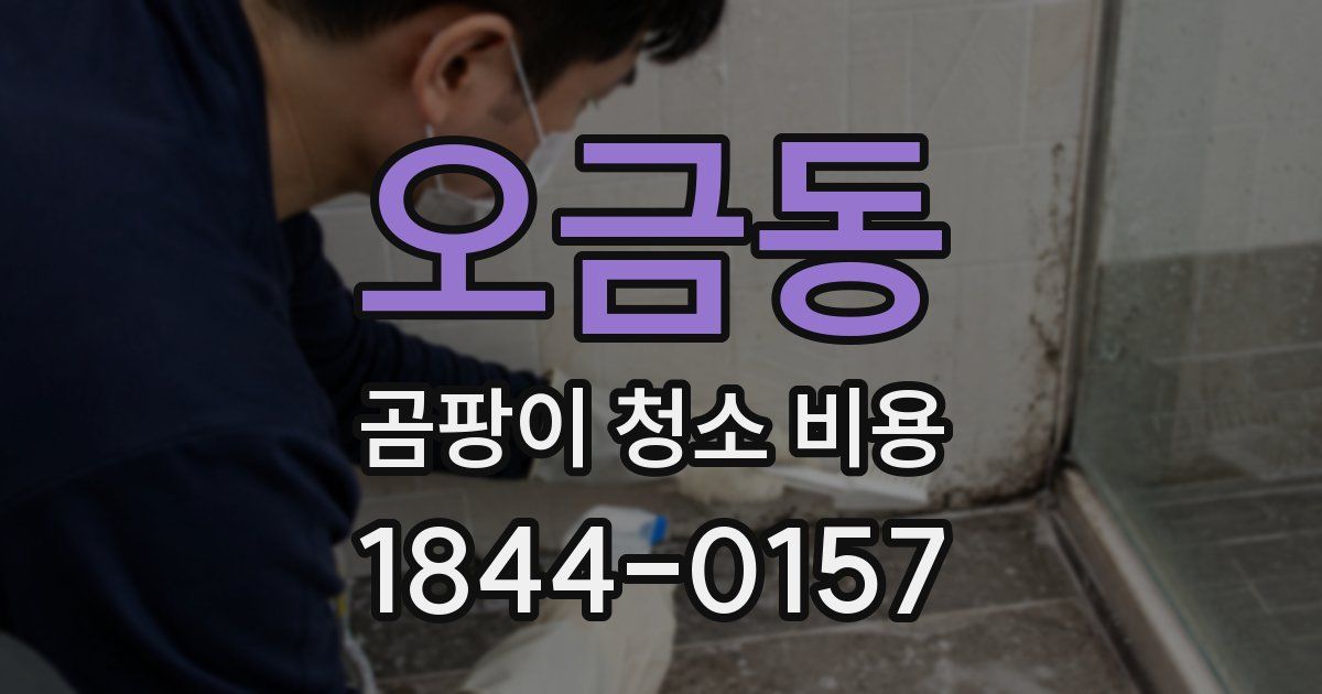 오금동 곰팡이 청소 비용