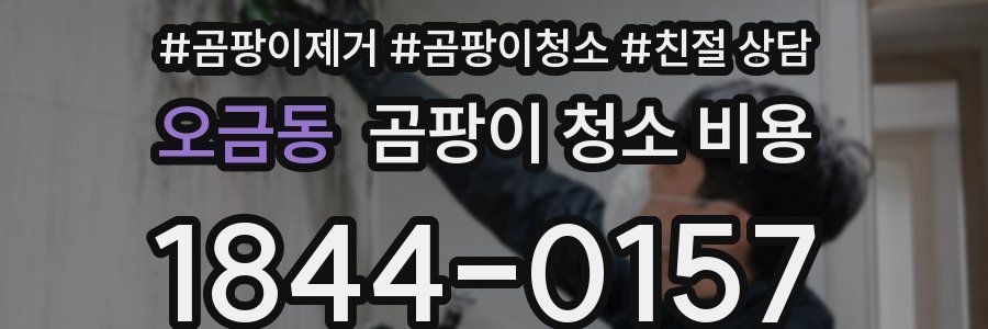 오금동 곰팡이 청소 비용