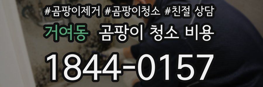 거여동 곰팡이 청소 비용