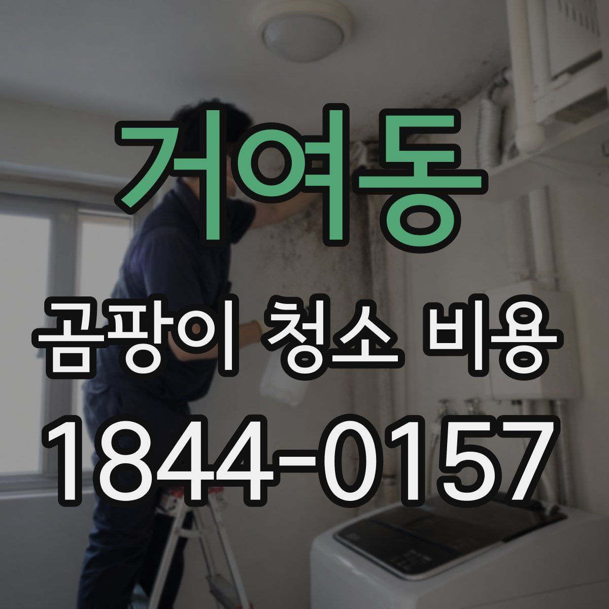 거여동 곰팡이 청소 비용