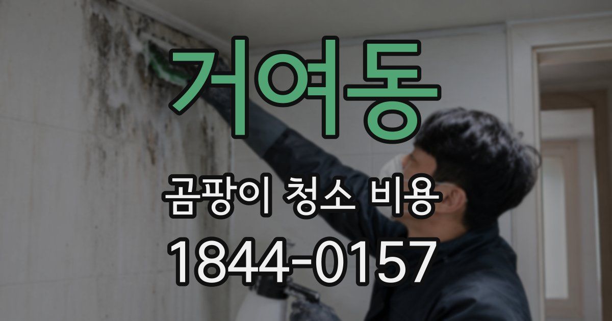 거여동 곰팡이 청소 비용