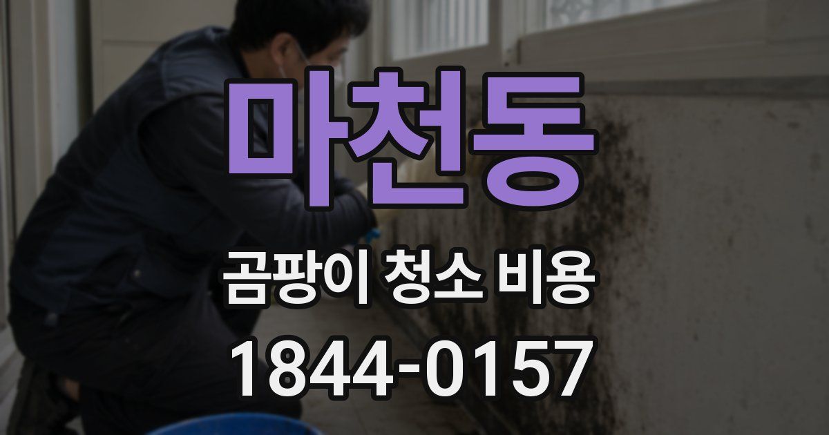 마천동 곰팡이 청소 비용