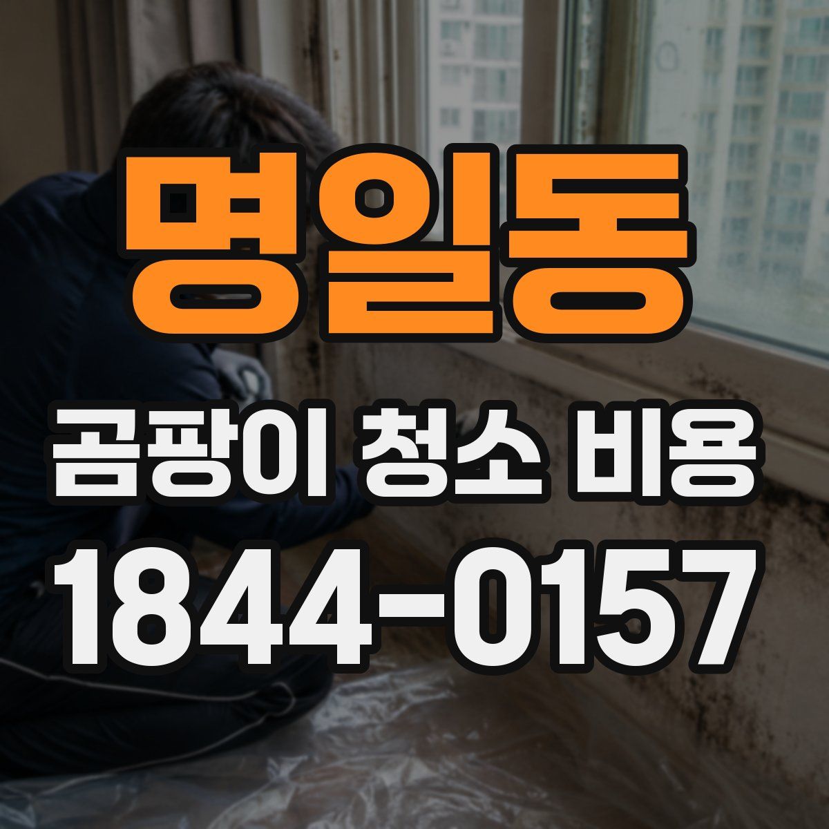 명일동 곰팡이 청소 비용