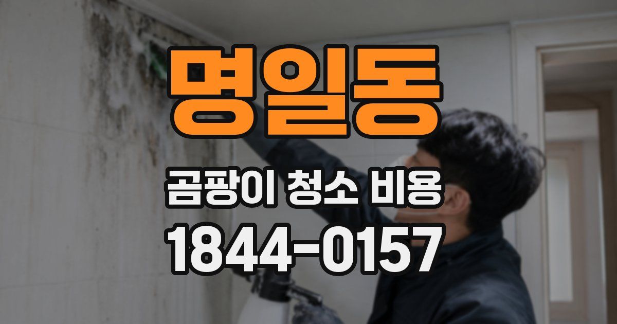 명일동 곰팡이 청소 비용