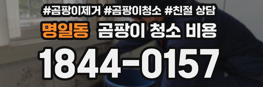 명일동 곰팡이 청소 비용