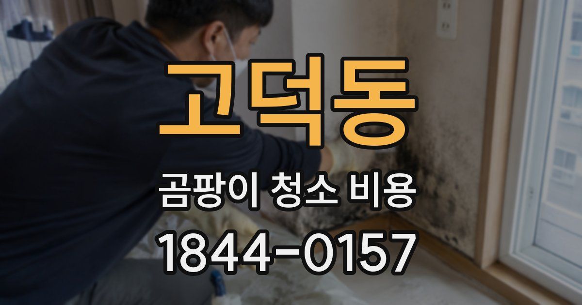 고덕동 곰팡이 청소 비용