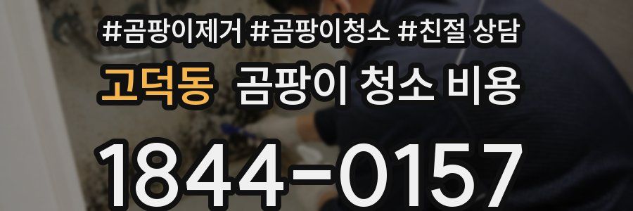 고덕동 곰팡이 청소 비용