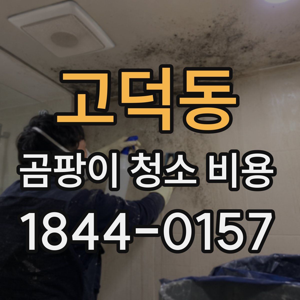 고덕동 곰팡이 청소 비용