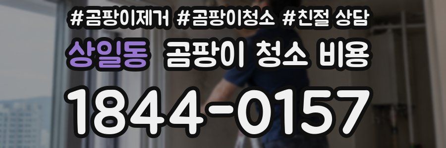 상일동 곰팡이 청소 비용