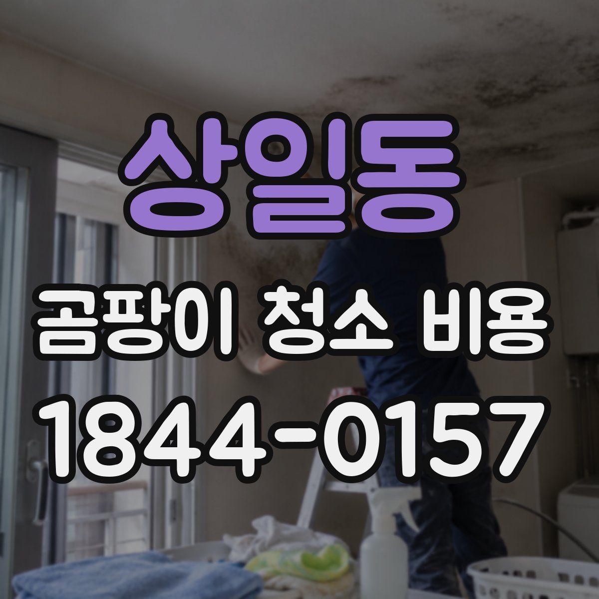 상일동 곰팡이 청소 비용