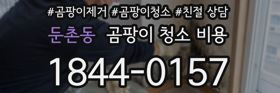 둔촌동 곰팡이 청소 비용