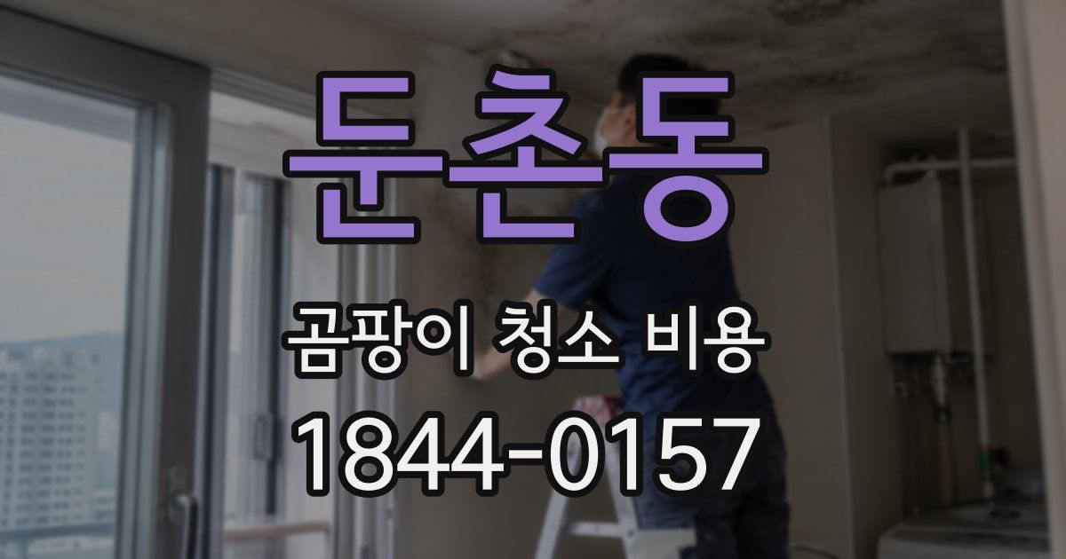 둔촌동 곰팡이 청소 비용