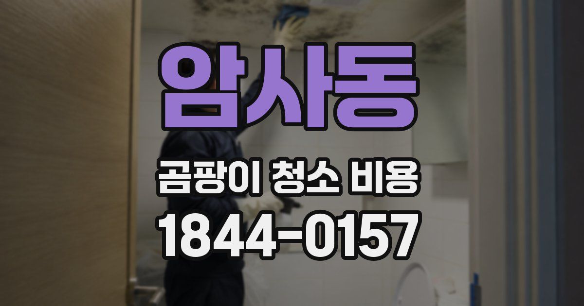 암사동 곰팡이 청소 비용