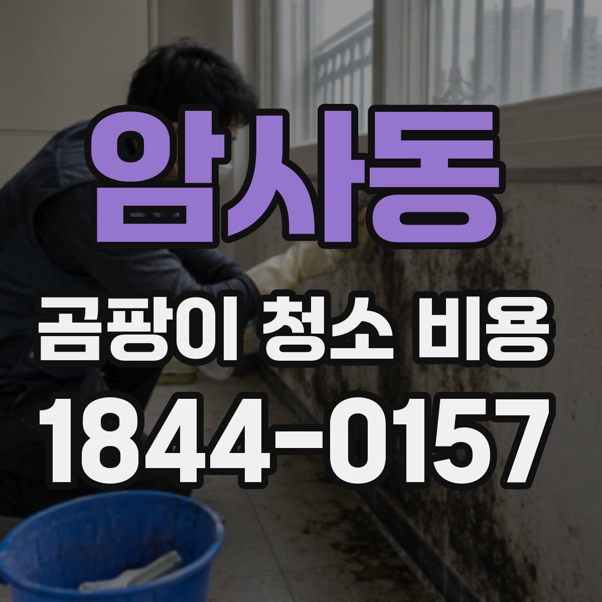 암사동 곰팡이 청소 비용