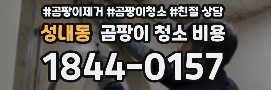 성내동 곰팡이 청소 비용
