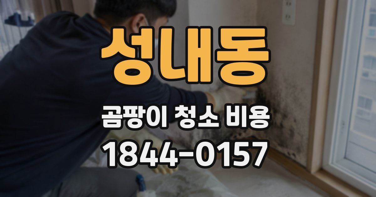 성내동 곰팡이 청소 비용