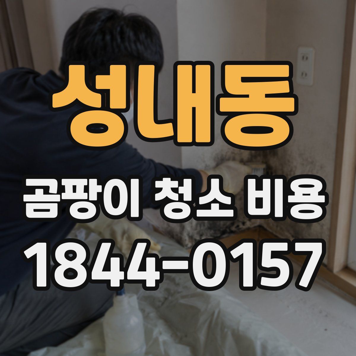 성내동 곰팡이 청소 비용