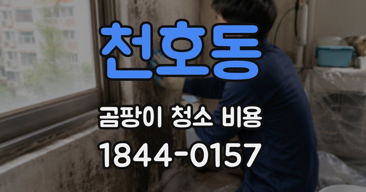 천호동 곰팡이 청소 비용