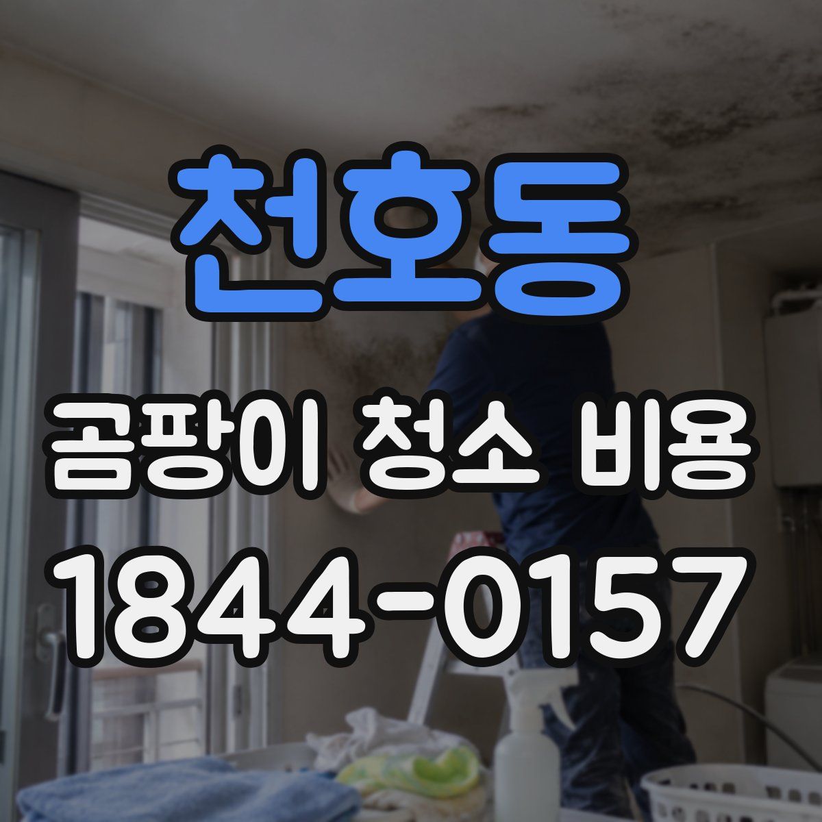 천호동 곰팡이 청소 비용