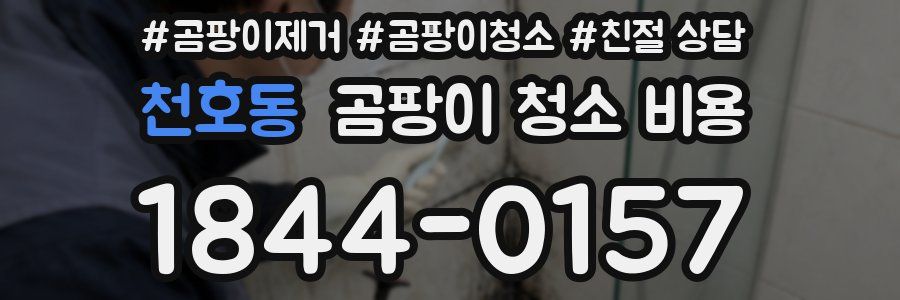 천호동 곰팡이 청소 비용