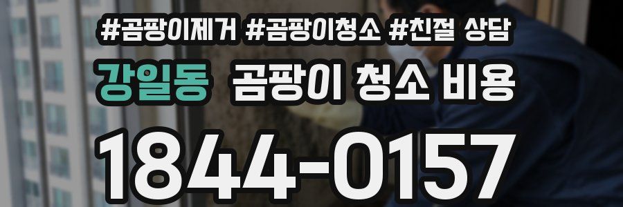 강일동 곰팡이 청소 비용