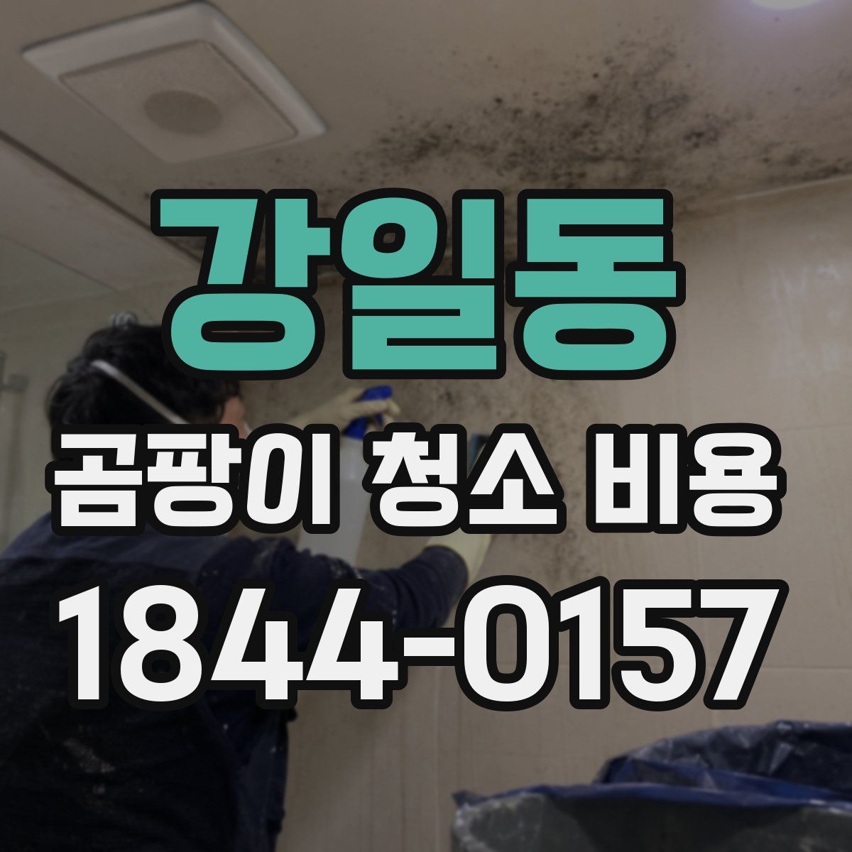 강일동 곰팡이 청소 비용