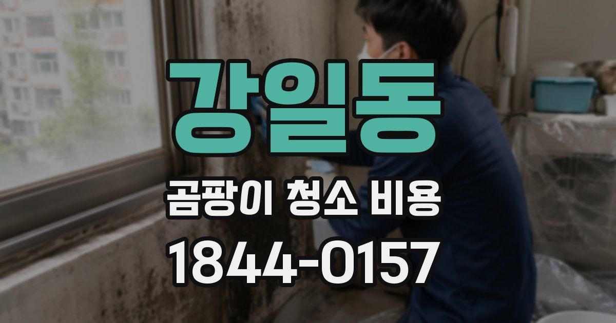 강일동 곰팡이 청소 비용